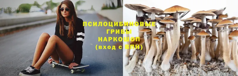 Псилоцибиновые грибы Psilocybine cubensis  где можно купить наркотик  Рыбное 